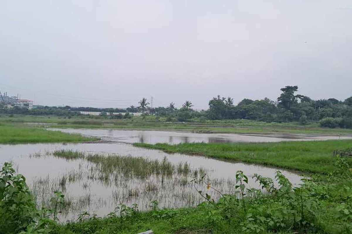 YLSM-JMB Minta KPK Supervisi Dugaan Keterlibatan Pejabat Pemkab Serang dalam Kasus Situ Ranca Gede